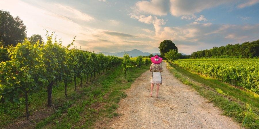 Alla Scoperta della Franciacorta — foto 1
