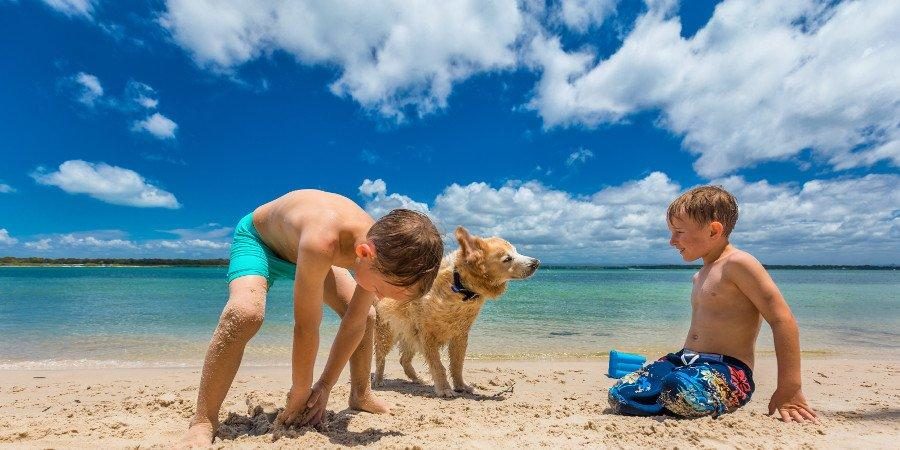 Dog beach Italia — foto 1
