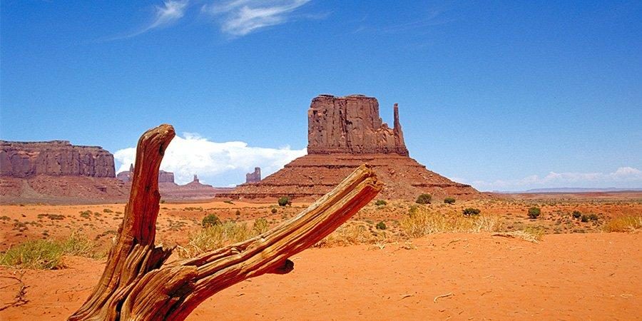 Il fascino luminoso della West Coast — foto 1