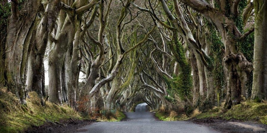 Irlanda: sul set del Trono di Spade — foto 1