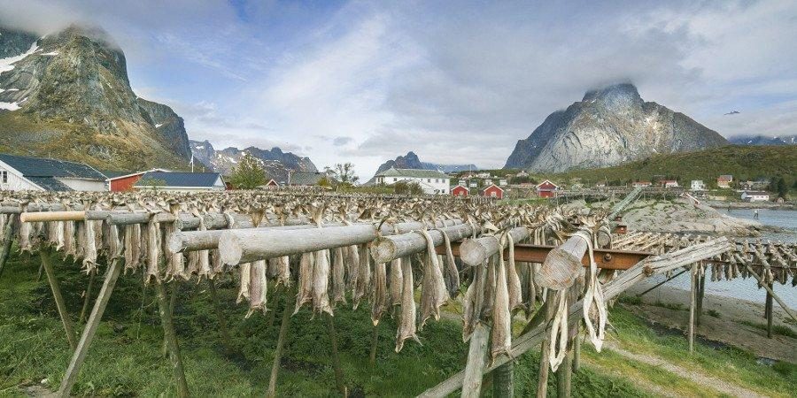 La tradizione norvegese dello stoccafisso — foto 1
