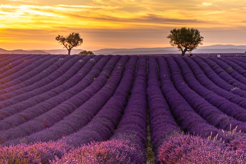 Le bellezze naturali della Francia — foto 1