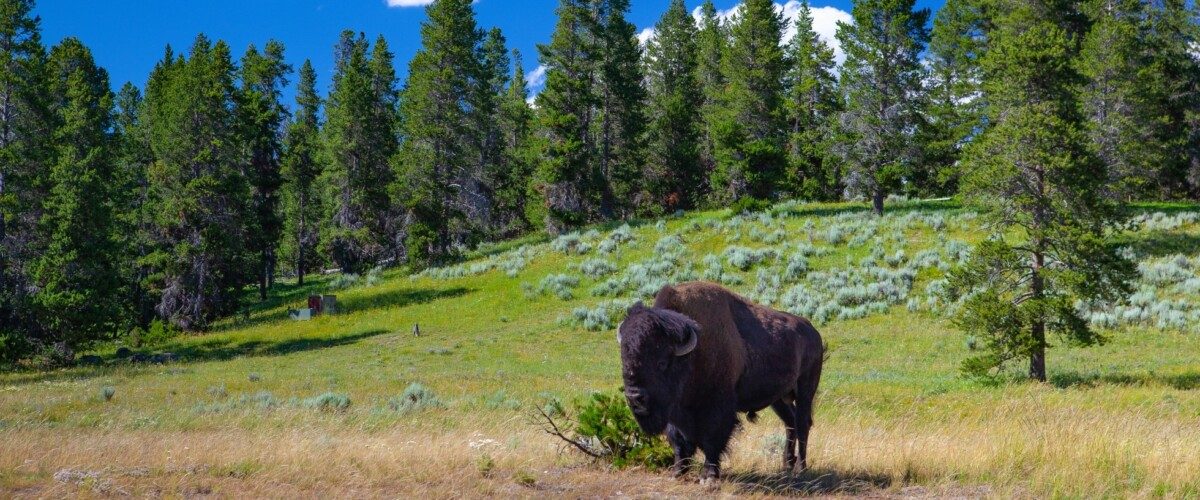 Viaggio nelle meraviglie Sud-Ovest USA — foto 1