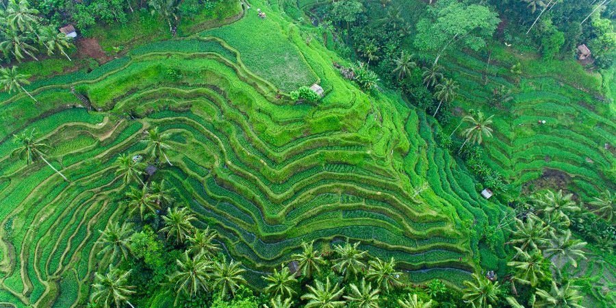 BALI SMART, IL CUORE DELL’ISOLA - Codice Offerta: Din147895 — foto 3
